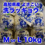  Kochi префектура производство .....la both 10kg ввод 