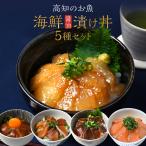 【 母の日 早割 2,980円 】海鮮丼 5種 【 送料無料 】 海鮮 ギフト お取り寄せ お取り寄せ魚 刺身 高知 海鮮 実用的 海鮮 カンパチ ブリ 鰹 サバ 海産物