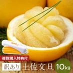 ショッピング文旦 送料無料 (一部地域を除く) 訳あり 土佐文旦（ 露地文旦 ）10kg サイズ おまかせ 文旦 ぶんたん 高知県産 みかん ギフト プレゼント