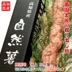  Kochi префектура производство специальный отбор Японский ямс (.....) 1kg и больше разрыв. нет 1 шт. .. для 