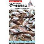  Thai . высушенный 500g[ завершение установить прямая поставка * морской лещ суп ...]*.. для . морской лещ, размер хороший один класса товар, закуска тоже,. тест ..... предмет для,. семья . стоимость .. тест . пожалуйста, наслаждайтесь 