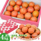  различные дерево прямая поставка помидор Lisa фрукты помидор 4 коробка 100 день помидор весна . блок высота сахар раз Kochi производство свежий сахар раз 8 раз и больше для бытового использования примерно 4 kilo. . сообщение карта соответствует бесплатная доставка 