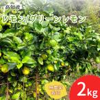  прямая поставка от производителя лимон производство прямой местного производства культивирование период средний нет пестициды зеленый лимон 2kg.. Kochi префектура производство no- воск . коррозия . защита от плесени . не использование синий лимон бесплатная доставка Yamato отправка 