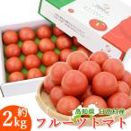 [ предварительный заказ ] день высота прямая поставка день высота .shuga- помидор фрукты помидор примерно 2kg 40 шт высота сахар раз помидор Kochi производство свежий прямая поставка от производителя сахар раз 8 раз и больше .. для для бытового использования несессер ввод бесплатная доставка 