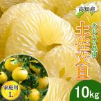 ショッピング文旦 【予約】文旦 土佐文旦 家庭用 Lサイズ 22〜26玉 10kg 宿毛文旦 産直 あおかぜ農園 宿毛 ぶんたん 宿毛市 産地直送 高知産 宿毛産 10キロ 送料無料