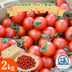  Oono видеть прямая поставка 4 десять тысяч 10 фрукты мини помидоры 2kg.. утро .. помидор фрукты помидор . сверху .. мини помидоры Petit Toma to земля .. соль круг небо день соль имеется бесплатная доставка 