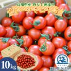  Oono видеть прямая поставка 4 десять тысяч 10 фрукты мини помидоры 10kg.. утро .. помидор фрукты помидор . сверху .. мини помидоры Petit Toma to земля .. соль круг небо день соль имеется бесплатная доставка 