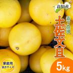 ショッピング文旦 【予約】文旦 土佐文旦 家庭用 小サイズ S/M 5kg 産直 森下農園 宿毛 ぶんたん 宿毛市 産地直送 高知産 宿毛産 5キロ 果物 柑橘 送料無料