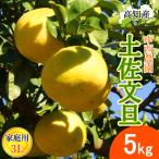 ショッピング文旦 【予約】文旦 土佐文旦 家庭用 3Lサイズ 8〜9玉 5kg 宿毛文旦 産直 中西農園 宿毛 ぶんたん 宿毛市 産地直送 高知産 5キロ 果物 柑橘 送料無料
