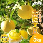 [ предварительный заказ ] помело земля . помело для бытового использования L~3L смешивание 7~12 шар 5kg. шерсть помело производство прямой тысяч. фруктовое дерево .. шерсть ..... шерсть город прямая поставка от производителя Kochi производство 5 kilo фрукты .. бесплатная доставка 