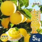 [ предварительный заказ ] помело земля . помело для бытового использования маленький M размер 14~16 шар 5kg. шерсть помело производство прямой тысяч. фруктовое дерево .. шерсть ..... шерсть город прямая поставка от производителя Kochi производство 5 kilo фрукты .. бесплатная доставка 