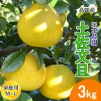 [ предварительный заказ ] помело земля . помело для бытового использования маленький ML размер 6~10 шар 3kg земля . город производство прямой шар дерево сельское хозяйство .... внезапный . поверхность культивирование .... прямая поставка от производителя Kochi производство 3 kilo бесплатная доставка 