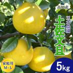 [ предварительный заказ ] помело земля . помело для бытового использования маленький ML размер 12~16 шар 5kg земля . город производство прямой шар дерево сельское хозяйство .... внезапный . поверхность культивирование .... прямая поставка от производителя Kochi производство 5 kilo бесплатная доставка 