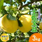 [ предварительный заказ ] помело земля . помело для бытового использования L~4L размер 5~8 шар 3kg земля . город производство прямой шар дерево сельское хозяйство .... внезапный . поверхность культивирование .... прямая поставка от производителя Kochi производство 3 kilo бесплатная доставка 