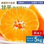 [ предварительный заказ ] средний остров производство мандарин . flat 5kg есть перевод средний остров . flat .... размер смешивание . пестициды прямая поставка от производителя местного производства Ehime префектура желающий. остров производство no- воск . коррозия . не использование бесплатная доставка 