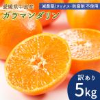 [ предварительный заказ ] средний остров производство .. весна мандарин ka лама nda Lynn 5kg есть перевод размер смешивание прямая поставка от производителя остров мандарин .. Ehime отдаленный остров желающий. остров производство . пестициды no- воск . коррозия . не использование бесплатная доставка 