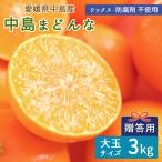 中島まどんな 贈答用 赤秀 特選品 大玉 2L 3L 約3kg 産地直送 島みかん 愛媛まどんな 国産 愛媛県 中島産 希望の島産 ノーワックス 送料無料