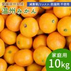 予約 産地直送 みかん 甘小粒 10kg 120〜160個 家庭用 小玉 S・2Sサイズ 国産 島みかん 愛媛県 中島産 希望の島産 減農薬 ノーワックス 防腐剤不使用 送料無料