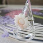 ø���ԥ󥯻���� ���֥ե꡼��� /�����/�����󥸾�ʪ /���㤤��/����