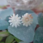 �򤵤� �İ������֤Υԥ��� K18YG/ŷ�������� ���ꡦ����