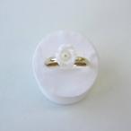 清楚な白珊瑚薔薇のつぼみフリーリン...