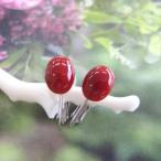 ���λ����ֻ���Υ����󥰡�8.1��6.3�ߥ��/K14WG/ŷ��/�����Х��󥴡�