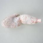  mid ..... украшение .. предмет бутылочная тыква [ почтовая доставка не возможно ] драгоценнный камень коралл .... календарь день рождения . праздник . исключая ..3 месяц. зодиакальный камень подарок подарок брак 35 годовщина 