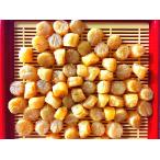 東成干し貝柱青森産１等品40G入4...