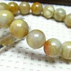 珊瑚フォッシルコーラルブレスレット...