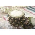  ананас шербет friend Factory ананас ( раунд ) шербет 1 шт для бизнеса 