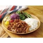 Yahoo! Yahoo!ショッピング(ヤフー ショッピング)日東ベスト 山形三元豚ポークジンジャー110gX5個