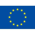 [ в аренду национальный флаг 3.4 день ]EU( Europe полосный .) национальный флаг ( флаг размер :90×135cm)