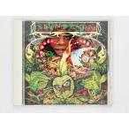  быстрое решение CD Spy ro* Jai la/mo- человек g* Dance / SPYRO GYRA / Morning Dance записано в Японии MVCM-20002 R06