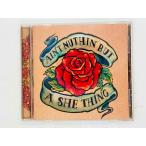  быстрое решение CD AIN'T NUTHIN' BUT A SHE THINGS /si-*singPOCD-1200 Y3327