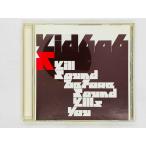  быстрое решение CD Kid / cut * звук *bi four * звук * cut z* You / Kid606 / Kill Sound Before Sound Kills You / записано в Японии RMZ-010 Z20