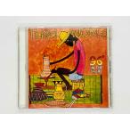  быстрое решение CD THIRD WORLD / 96° IN THE SHADE / Sard * world /..96 раз RRCD 16 846 571-2 N01