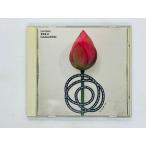  быстрое решение CD Hattori ../ музыка поле 14 / Katsuhisa HATTORI / Lotus Dream записано в Японии WPC6-8397 Y37