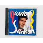 быстрое решение CD старый стандарт David * солнечный bo-n/ перемена *ob* Heart / DAVID SANBORN / A CHANGE OF HEART записано в Японии 32XD-631 X31