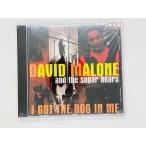 быстрое решение CD нераспечатанный ( плёнка маленький трещина ) David *ma заем I * струна * The * собака * in *mi-David Malone I Got The Dog In Me 544-2 S04