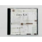  быстрое решение CD Cicero Buck / Delicate Shades Of Grey F04