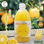 甘夏みかんジュース 500ml×12本入