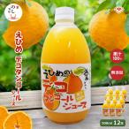 デコタンゴールジュース 500ml×12本入