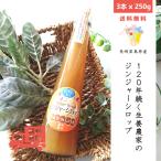  Matsumoto сельское хозяйство .. Gin ja- сироп 3 шт. комплект (250g x 3шт.@) бесплатная доставка Nagasaki префектура производство остров . половина остров сырой . сироп 