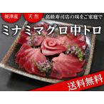 【送料無料】天然ミナミマグロ中トロブロック12人前　1,200ｇ　（300ｇ×4柵）