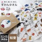 ガーゼタオル ミニバスタオル ずかんタオル 日本製