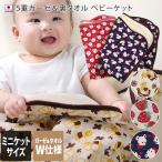 5 -слойный марля & обратная сторона полотенце baby Kett < Mini Kett > сделано в Японии 