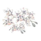  керамика эскиз ./ эскиз транскрипция бумага 3 цвет Cattleya 
