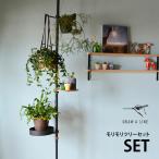 突っ張り棒 つっぱり棒 おしゃれ セット 伸縮 DRAW A LINE ドローアライン モリモリツリーセット