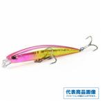 ビーチウォーカー アクシオンスリム105 DUO 釣り人応援セール