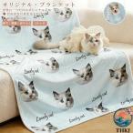  оригинал покрывало махровое покрывало плед .. древесный уголь коврик одеяло futon . днем . одеяло . днем .... . собака кошка фотография ввод покрывало .